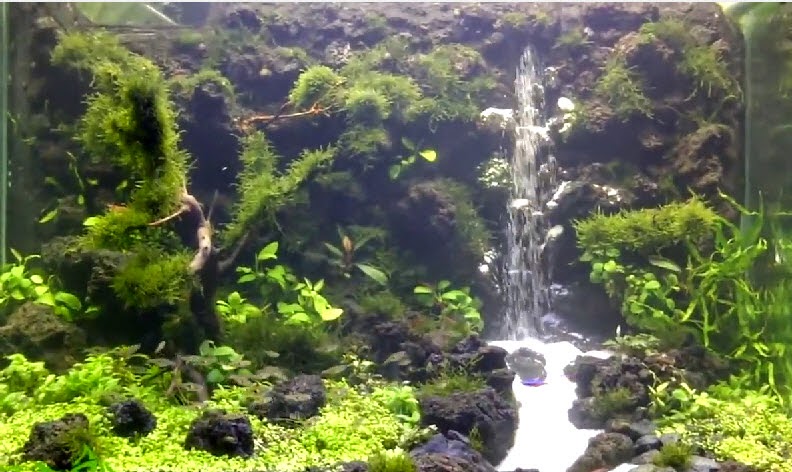 Nhận thi công hồ thủy sinh suối thác - 2