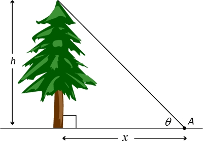 trigonometry trigonometry