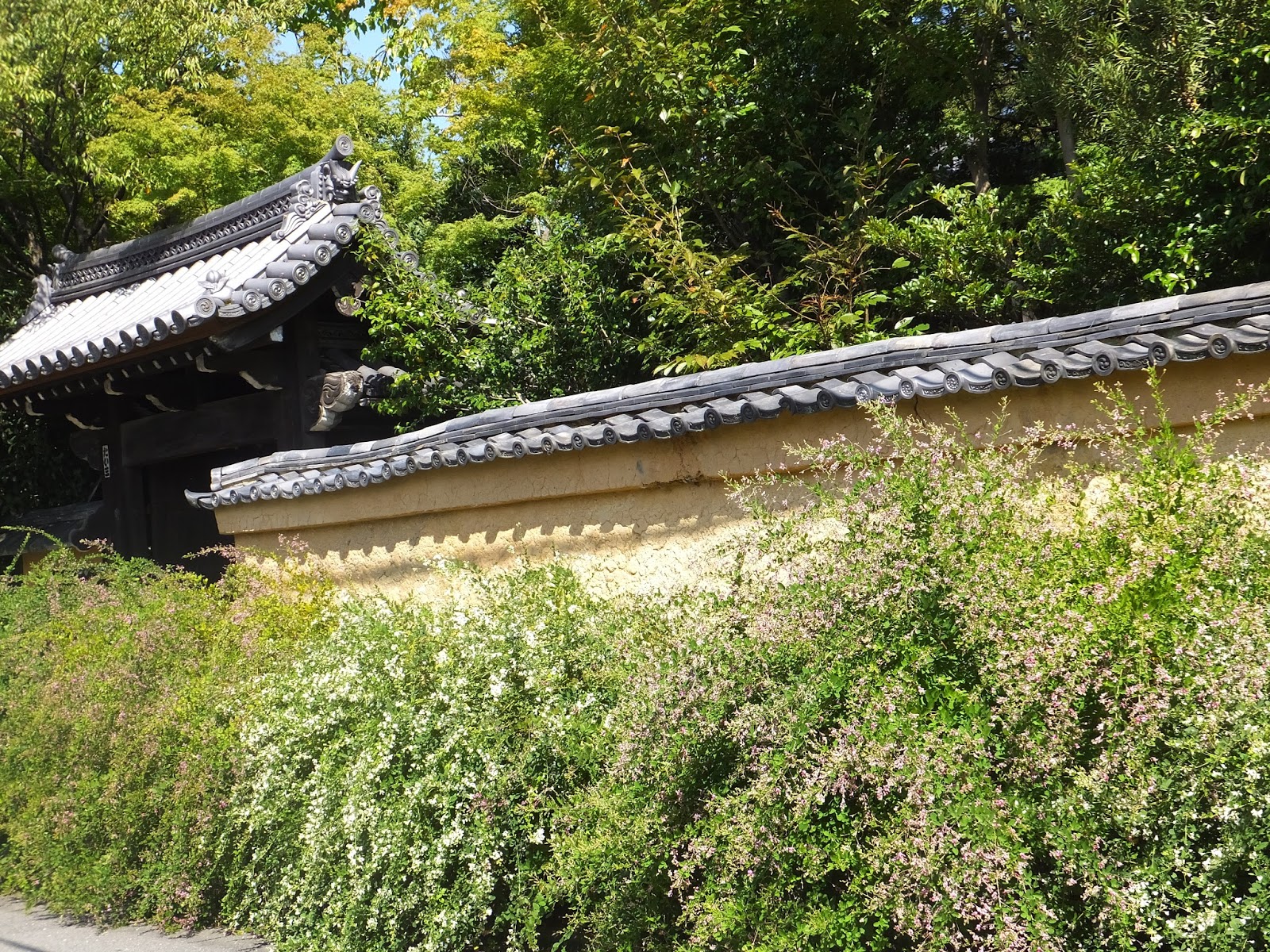 Gottuan S Room ハギの霊場 迎称寺 こうしょうじ