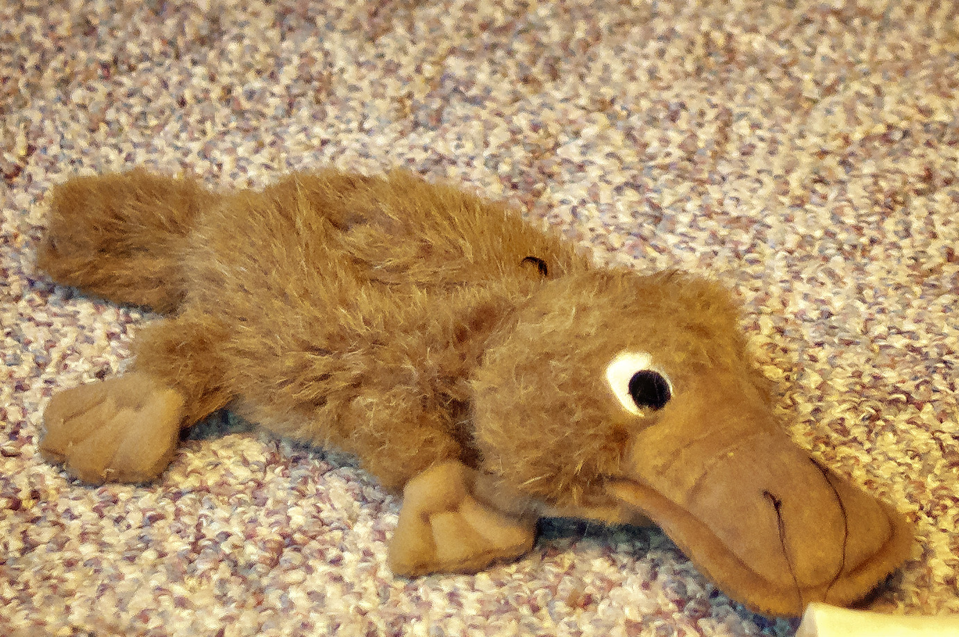 Platypus Egg Babies Dog Toy Wow Blog