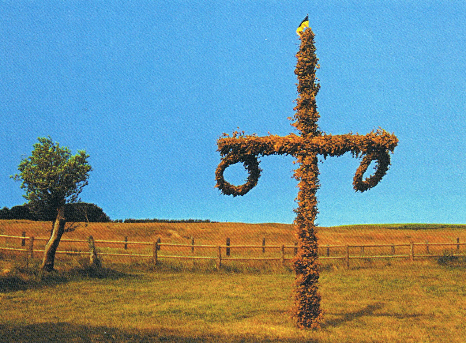 Merry Jackdaw The History of the Maypole