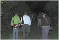 Caminata nocturna - foto: Gustavo Di Giacomo