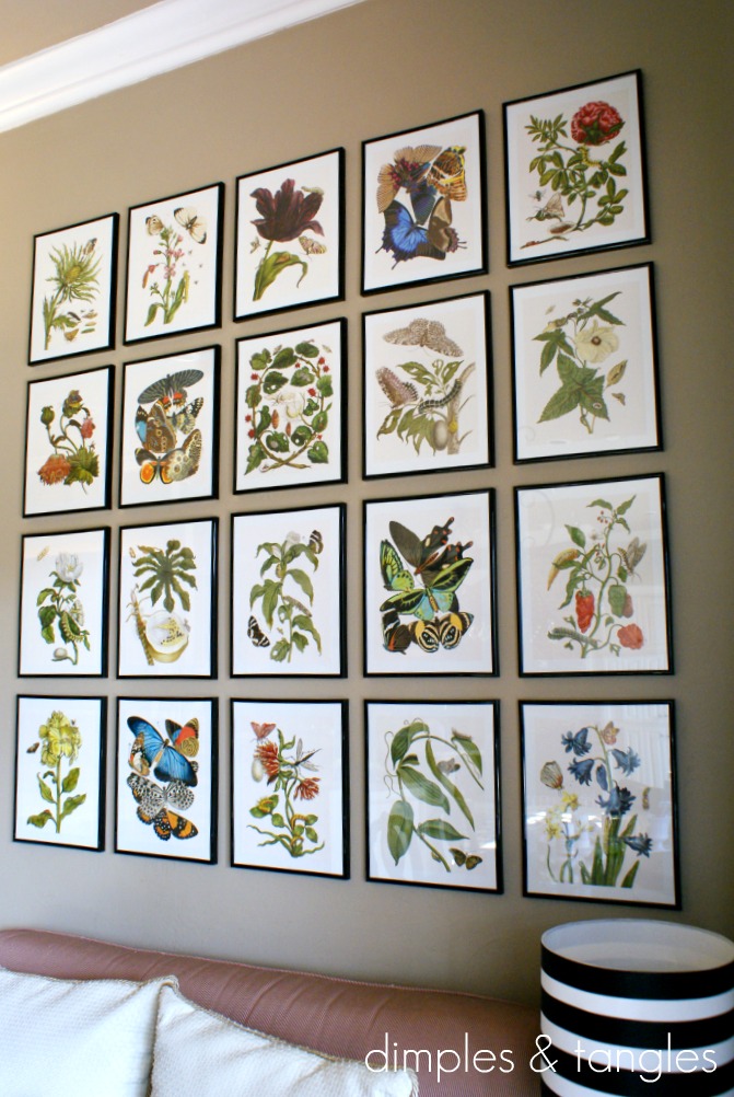 Botanical Gallery Wall Dimples and Tangles