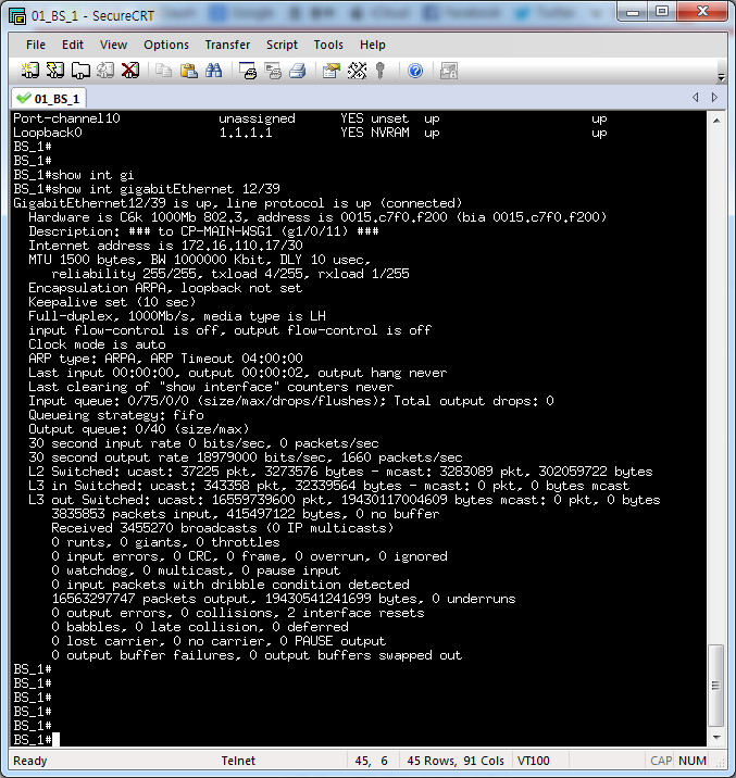 show interface 파헤쳐보기