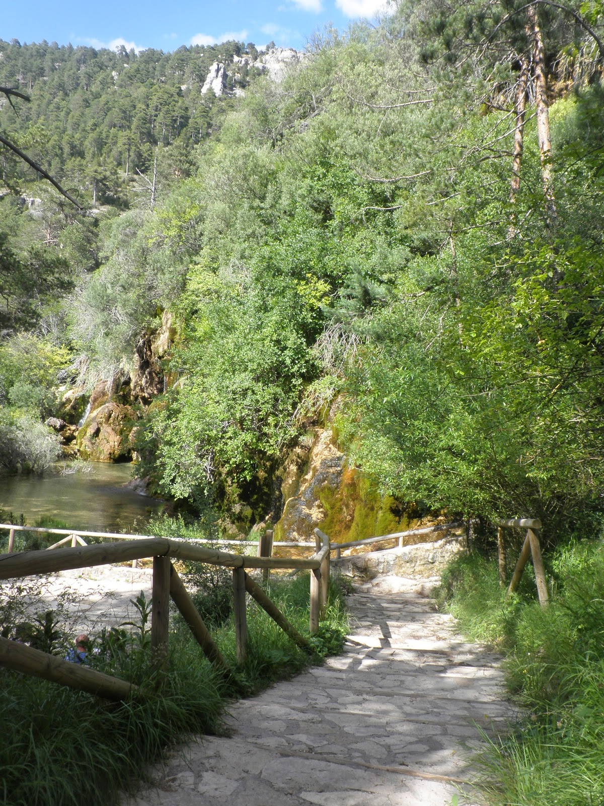 Senderos del Nacimiento del río Cuervo.