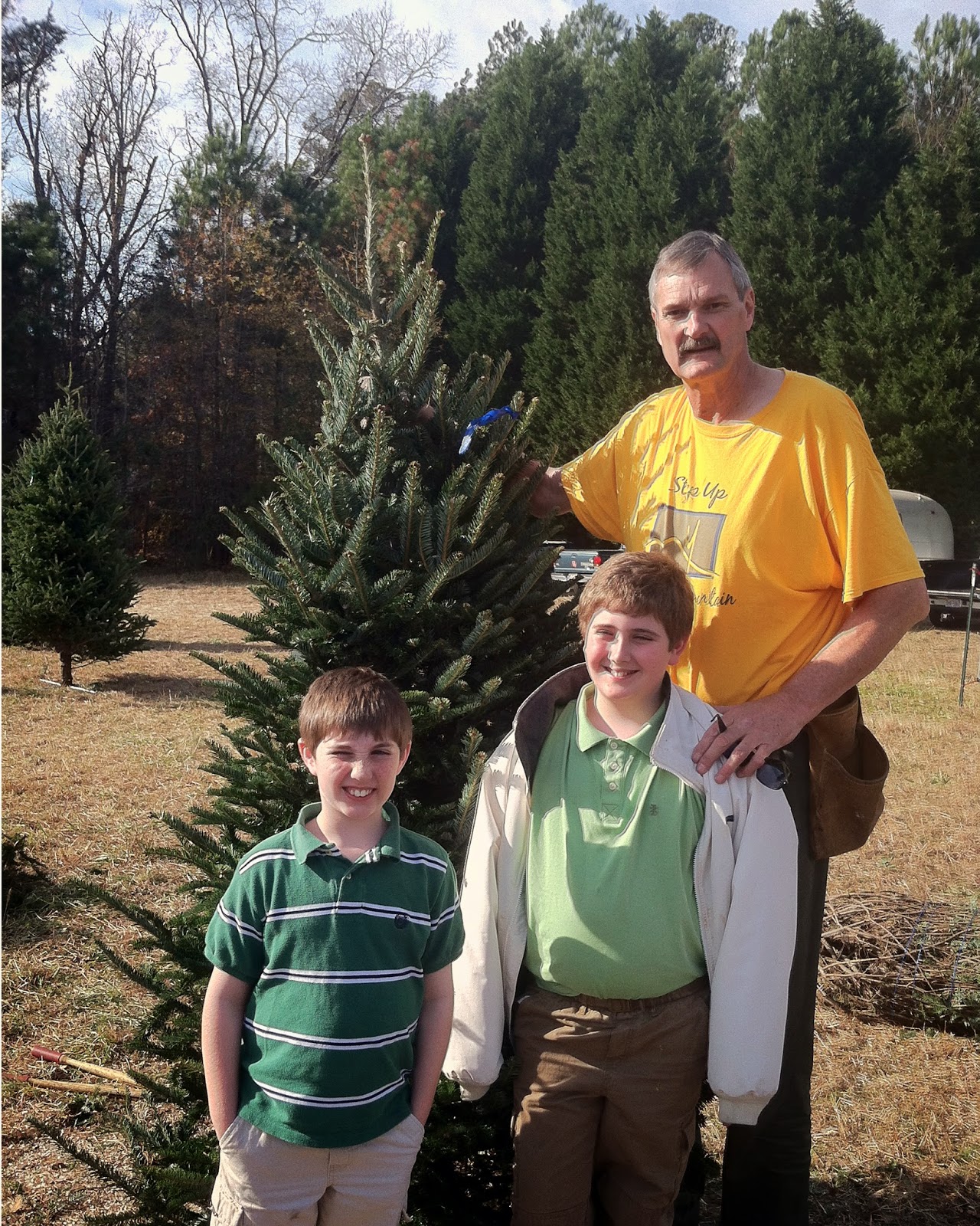 One Brick Back Down From the Mountains, Above the Treetops