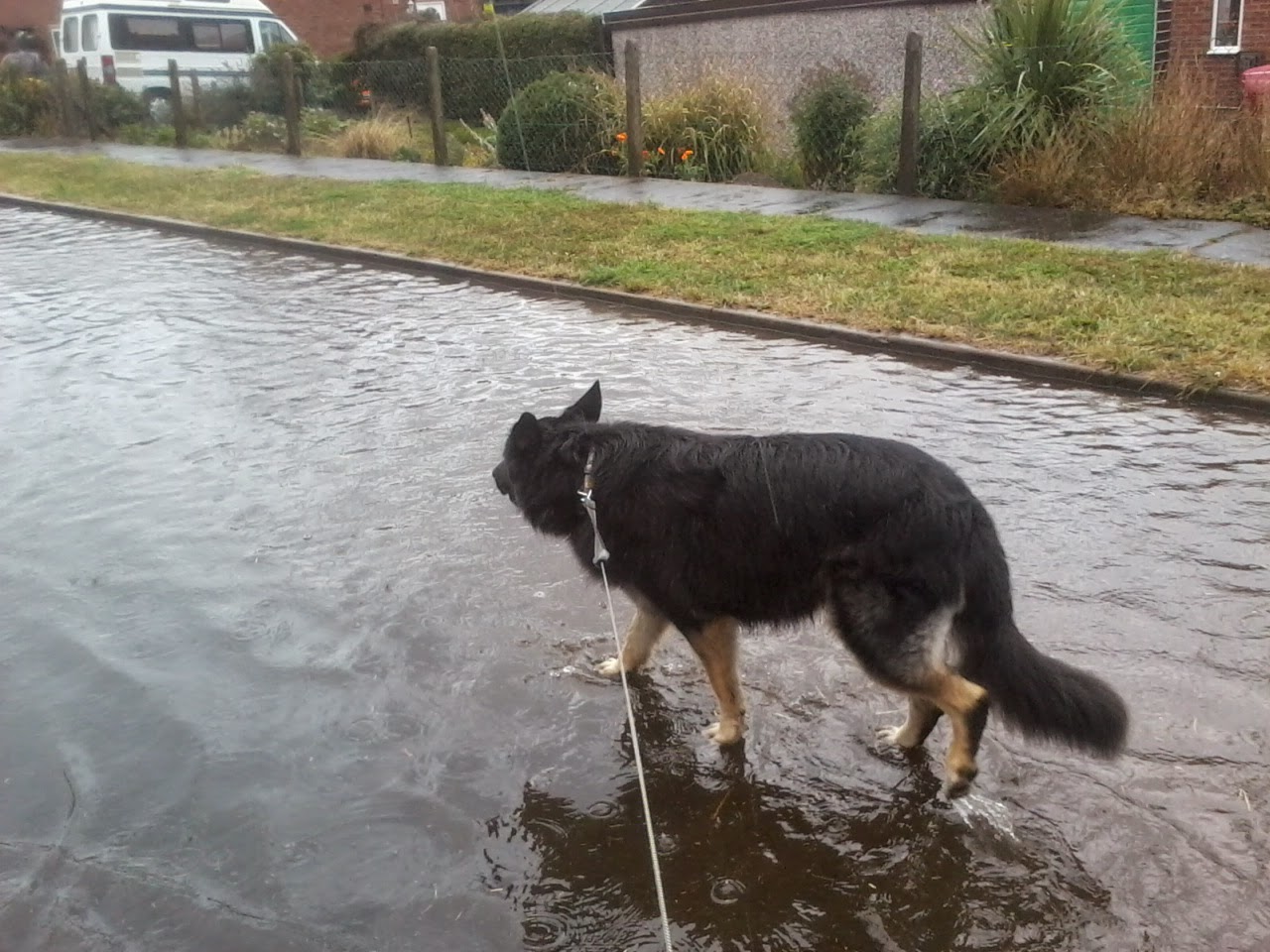 Taking a stroll down the road?? River!!