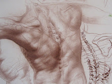 ANATOMÍA PARA ARTISTAS