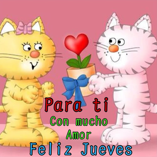 imagenes de feliz jueves en gatitos
