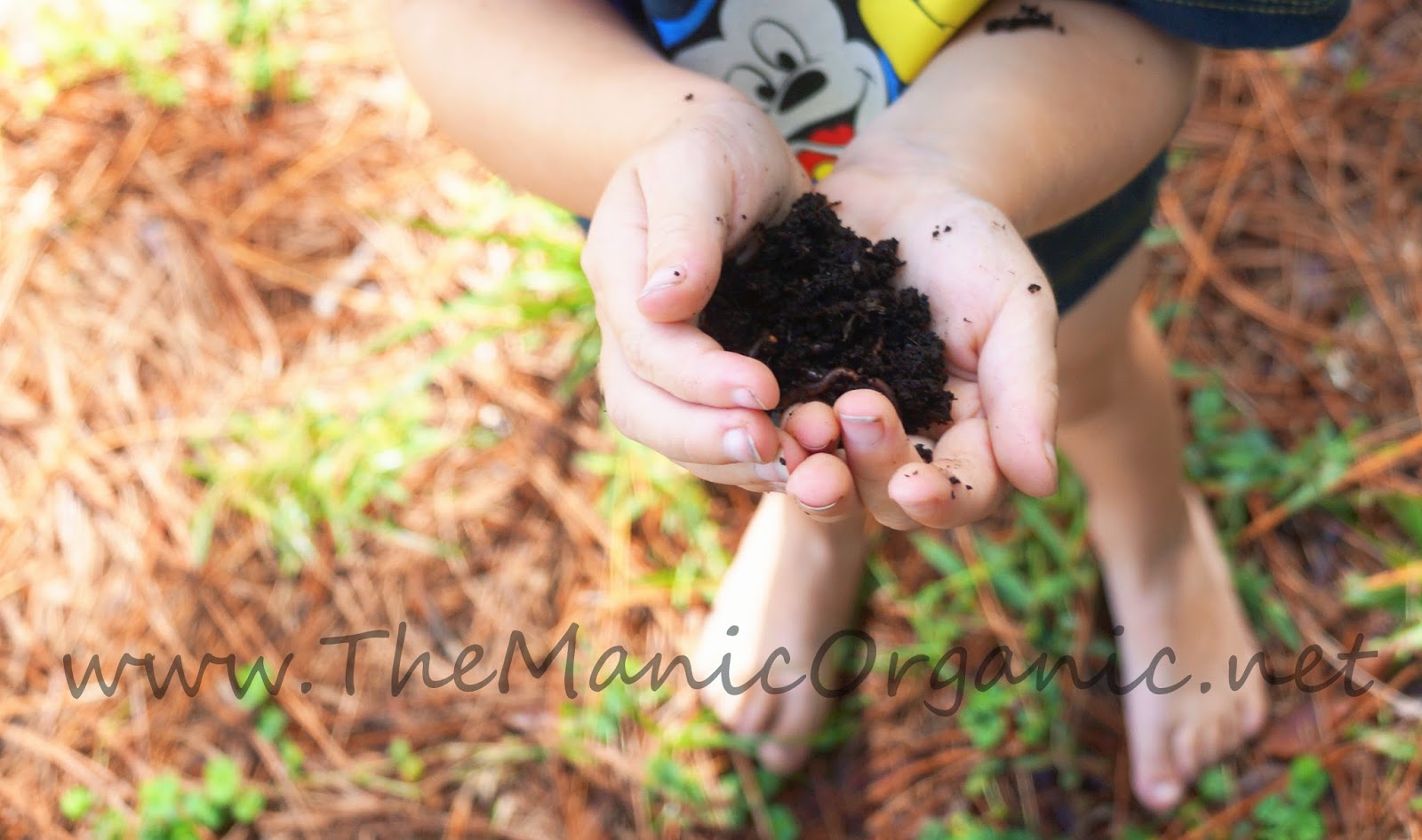 The Manic Organic Raising Earthworms for Composting and Making an