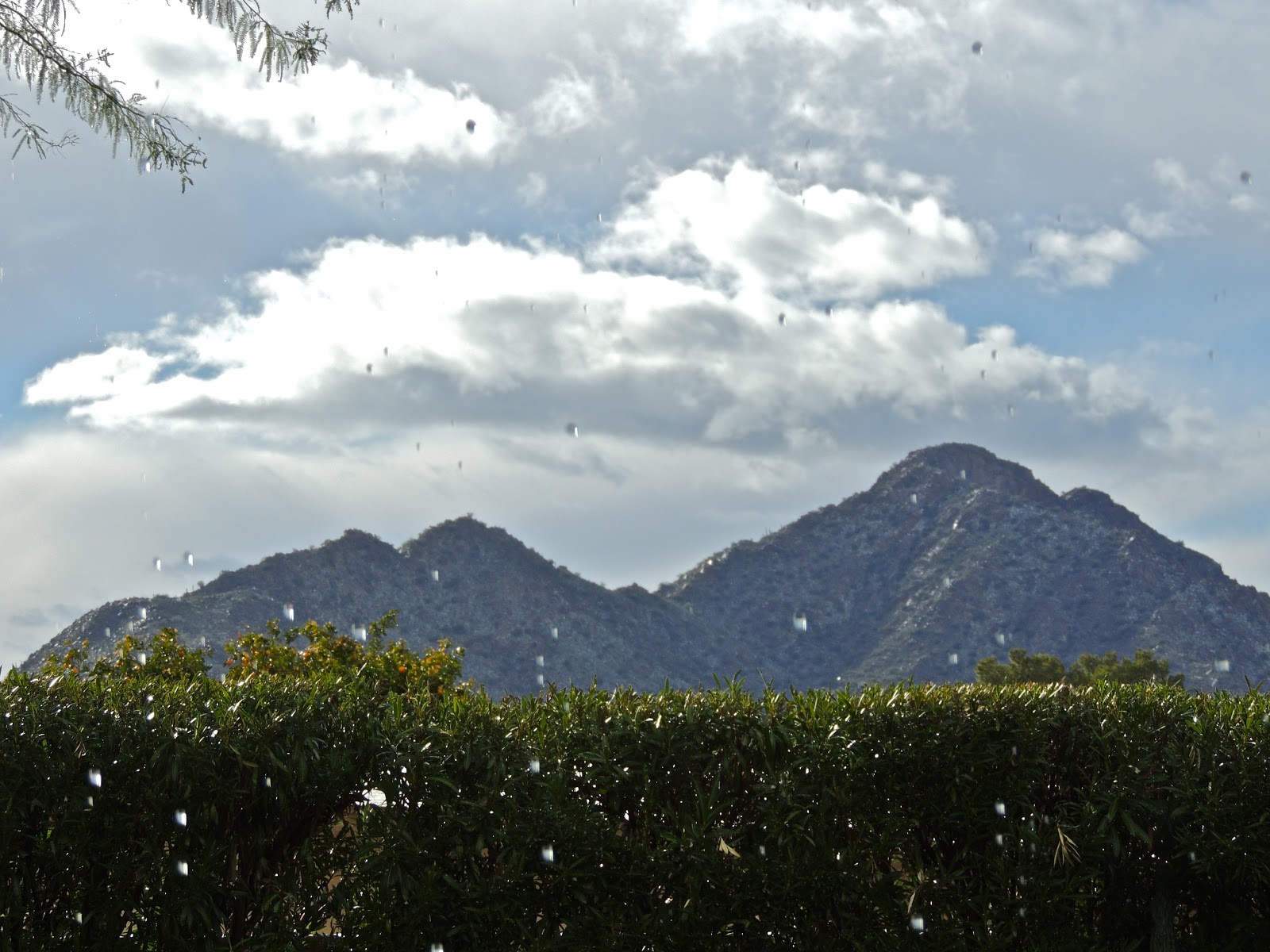 Scottsdale Daily Photo Photo Snow falling with Camelback Mountain
