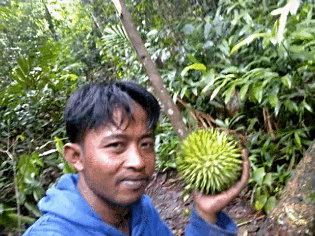 Gambar