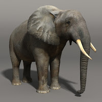 3d Elephant1