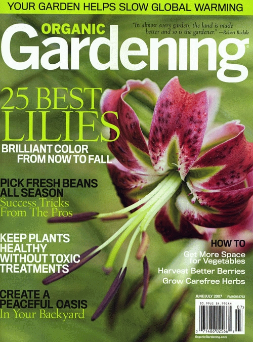 media magazines media magazines