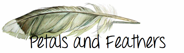Petals & Feathers