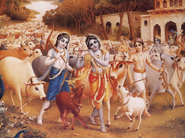 Why do Hindus Worship Cows - Lord Krishna Gopala