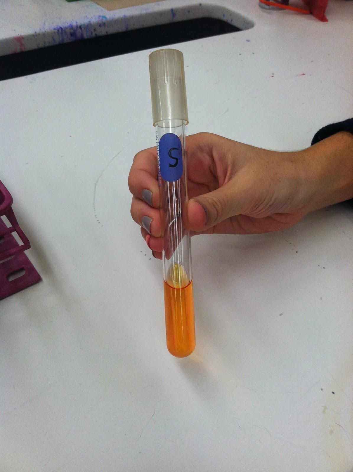 Rose & Lindsey's Medical Microbiology Blog Testing For Sucrose