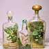 Terrariums ! (DIY inside)