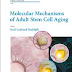 Molecular Mechanisms of Adult Stem Cell Aging (Else Kroner-Fresenius Symposia)