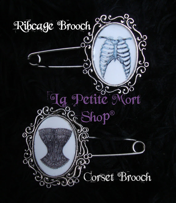 Broches / Broochs Ribcage & Corset