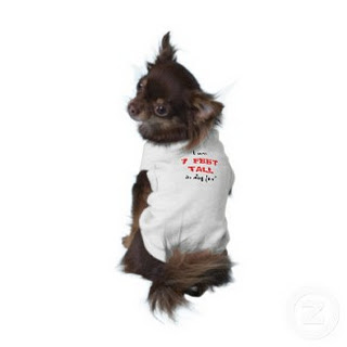 Funny Dog Pictures