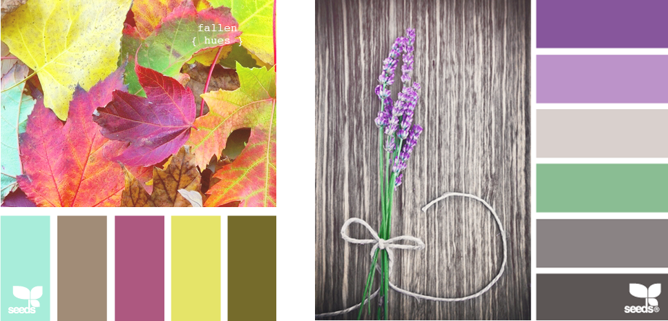 Pashion: El Morado para Decorar Tu Hogar