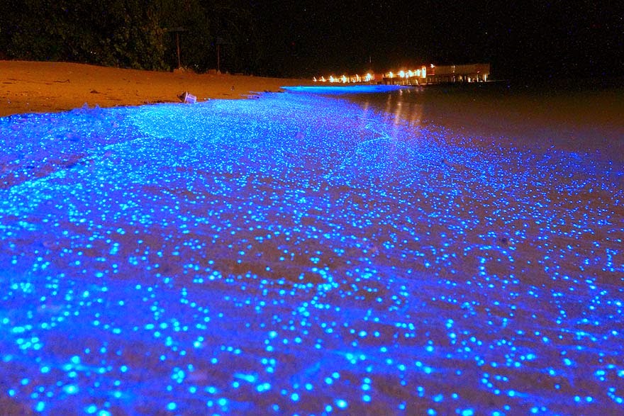 6. Glow-in-the-dark Beach in Maldives - 29 Unbelievable Locations That Look Like They’re Located On Another Planet 6. Glow-in-the-dark Beach in Maldives - 29 Unbelievable Locations That Look Like They’re Located On Another Planet