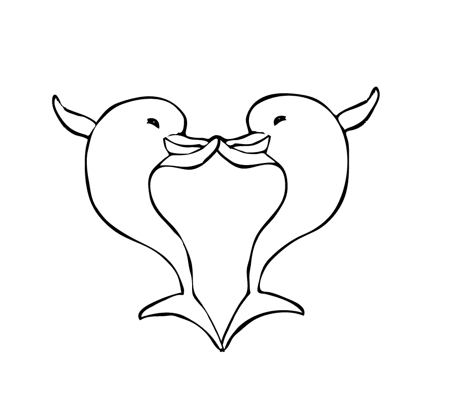dolphins coloring drawing free wallpaper