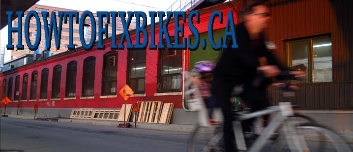 everyday bike trailer costco