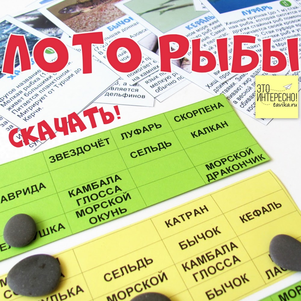 Как сделать папку для лэпбука своими руками Как сделать папку для лэпбука своими руками