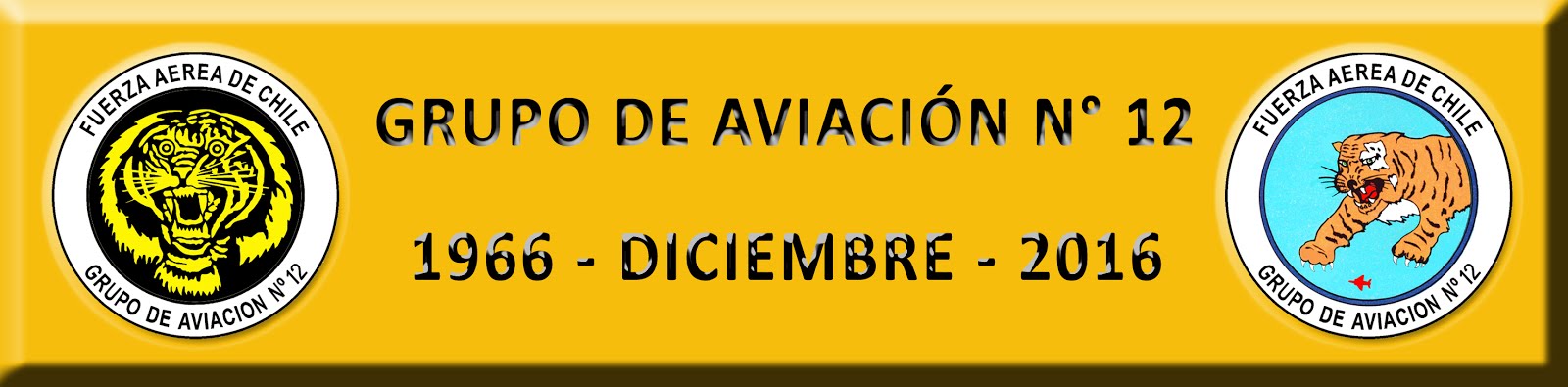 GRUPO de AVIACIÓN N° 12