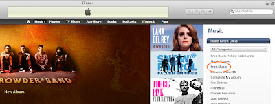 Screen shot of iTunes Music in your computer.