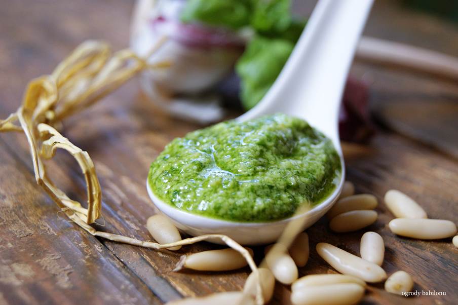 ogrody babilonu pesto bazyliowe