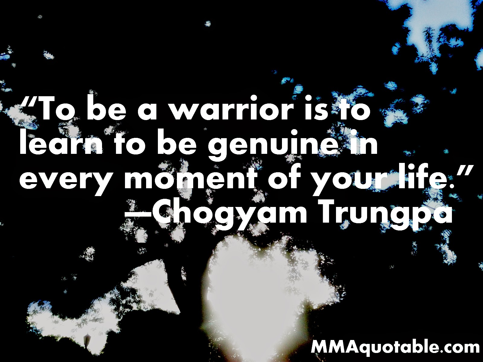 Motivational Quotes with Pictures (many MMA & UFC): “To be a warrior is