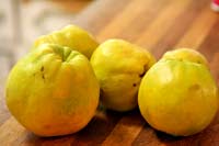 quince fruit