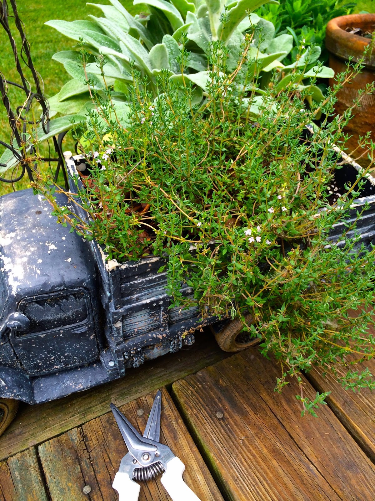 From Captain's Daughter to Army Mom Le Creuset Chicken Pot Roast!