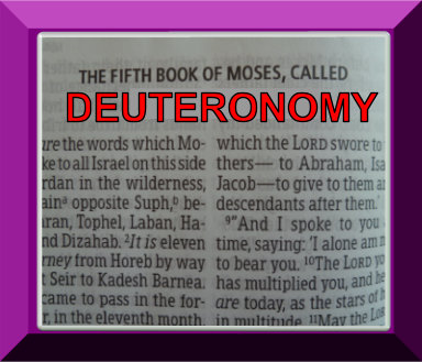 the summary of the book of exodus the summary of the book of exodus
