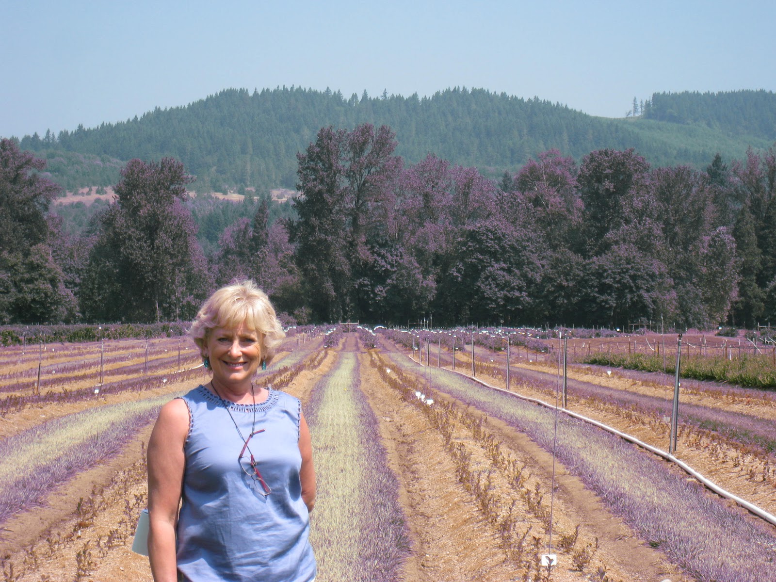 The garden plot: july 2012
