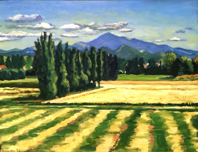 Cypress Trees, France 2012 (Sold)