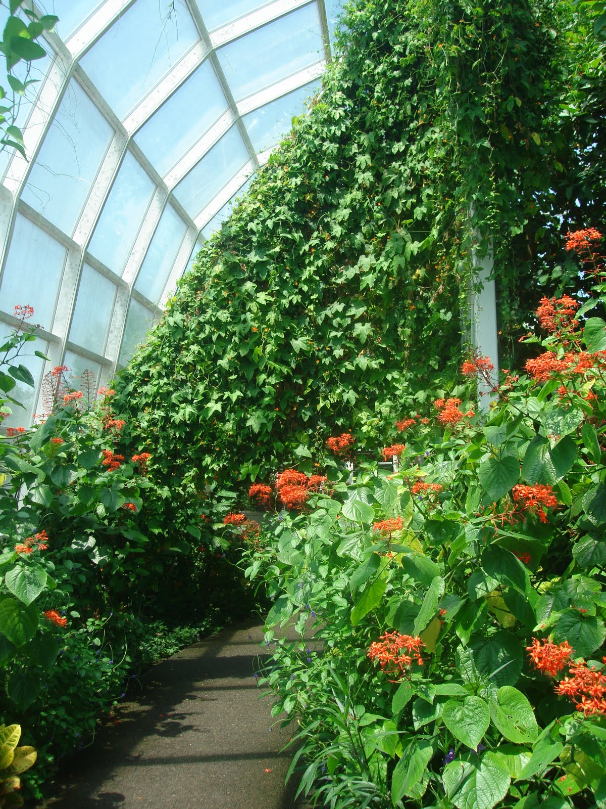 Blue's Clues: Butterfly House