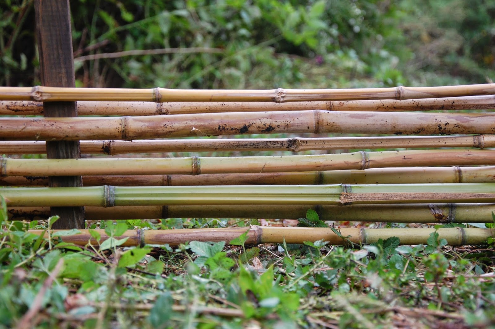 The Hippie Homestead Building a Raised Bed with Bamboo