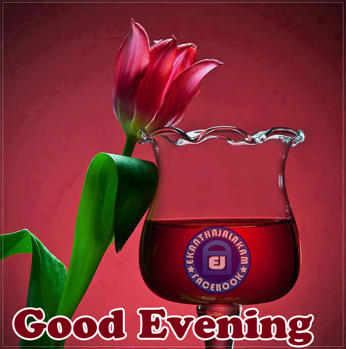 Lovely Quotes For You New Good Evening Picture