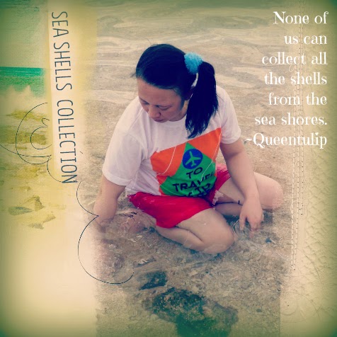 sea shell quotes