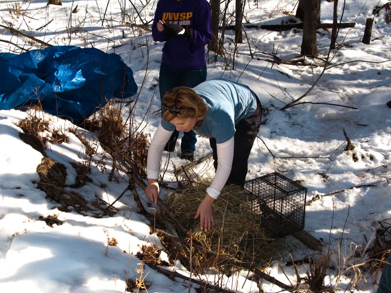 Magic Light Photography Porcupine Hunting Learning About Your Subject