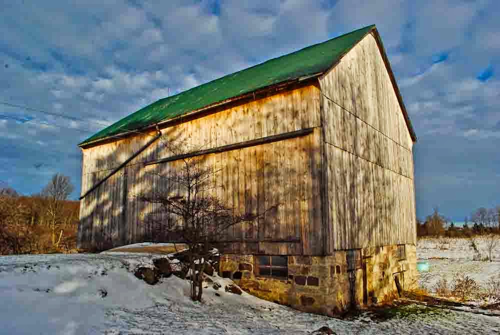 Cow By Log Barn  Old barns, Country barns, Farm life