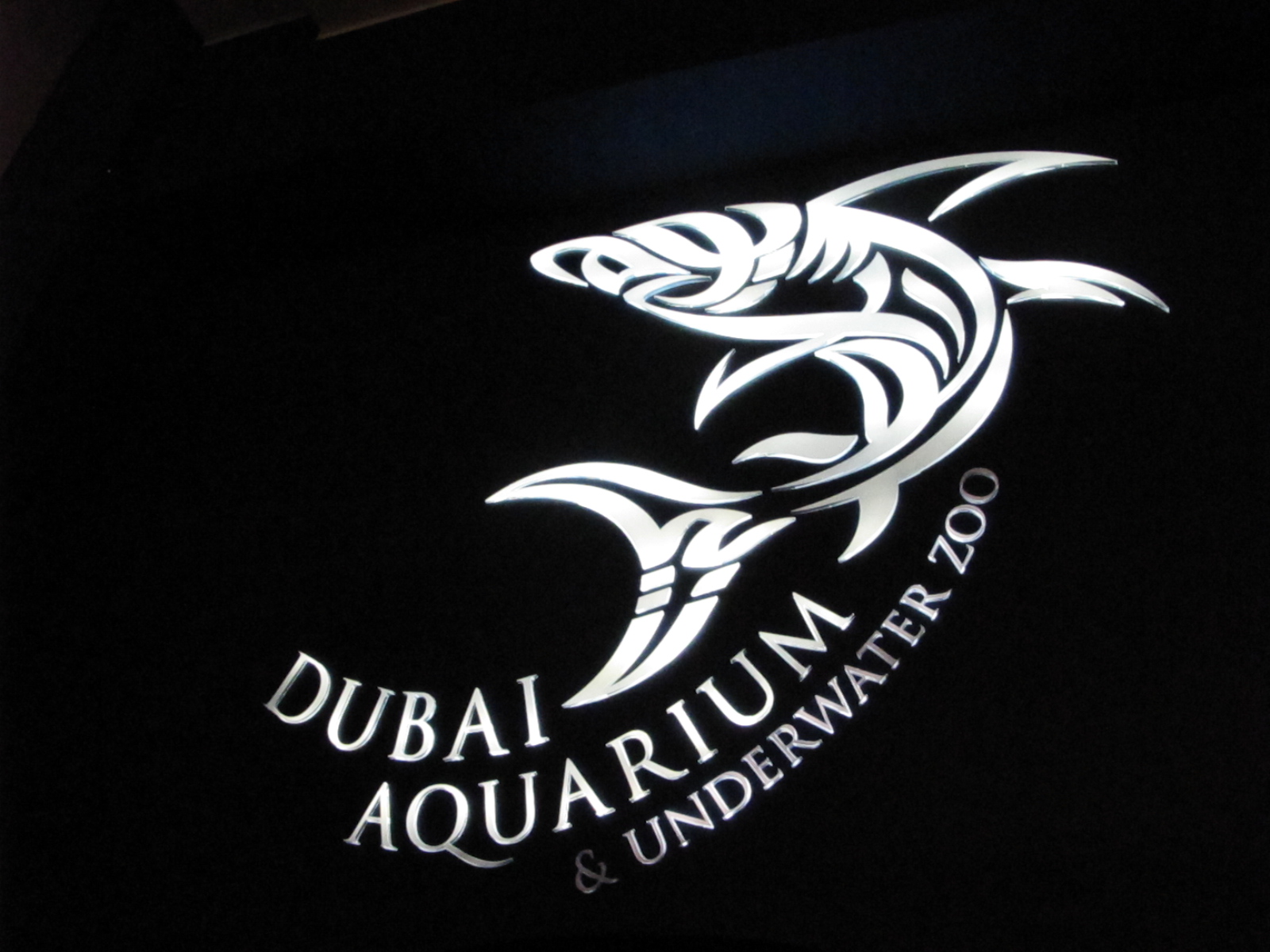 Dubai+mall+aquarium+broken