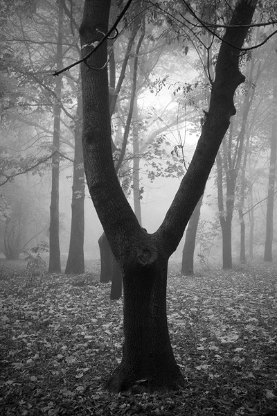 Photography: Alphabet Photography