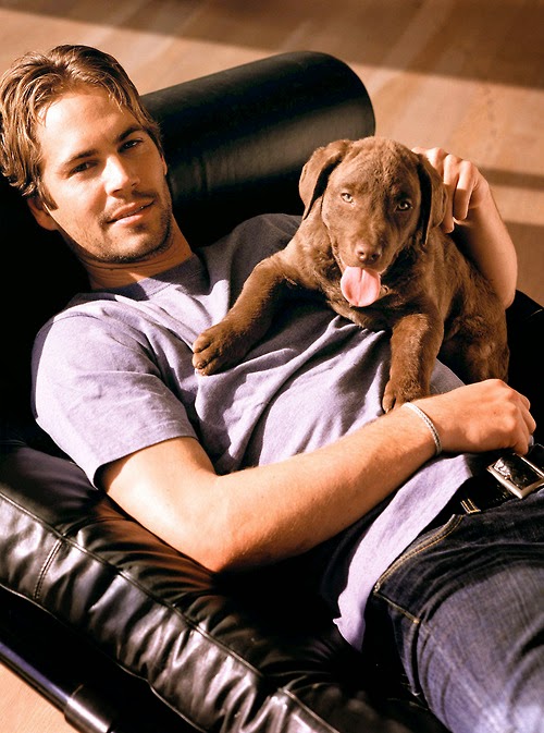 Remembering Paul Walker 1973 2013