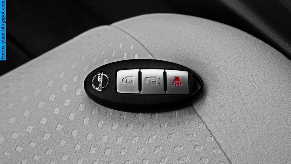 Nissan leaf car 2011 key - صور مفاتيح سيارة نيسان ليف 2011 Nissan leaf car 2011 key - صور مفاتيح سيارة نيسان ليف 2011