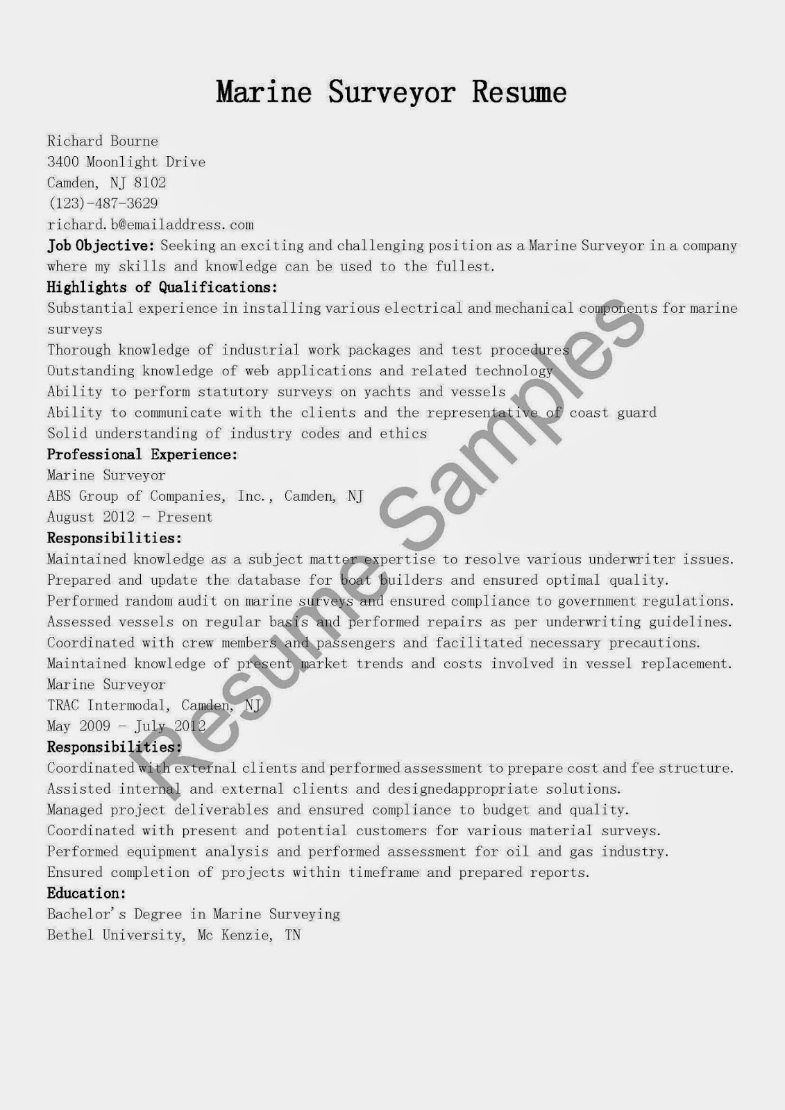 surveyor resume